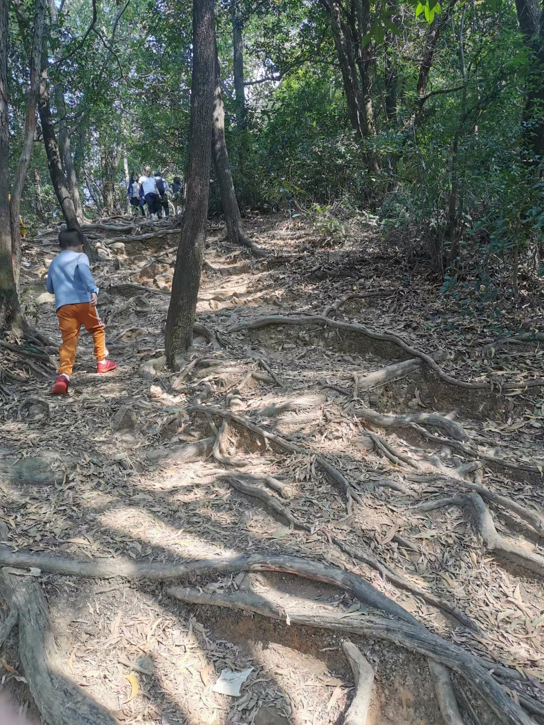 梧桐山 登山中