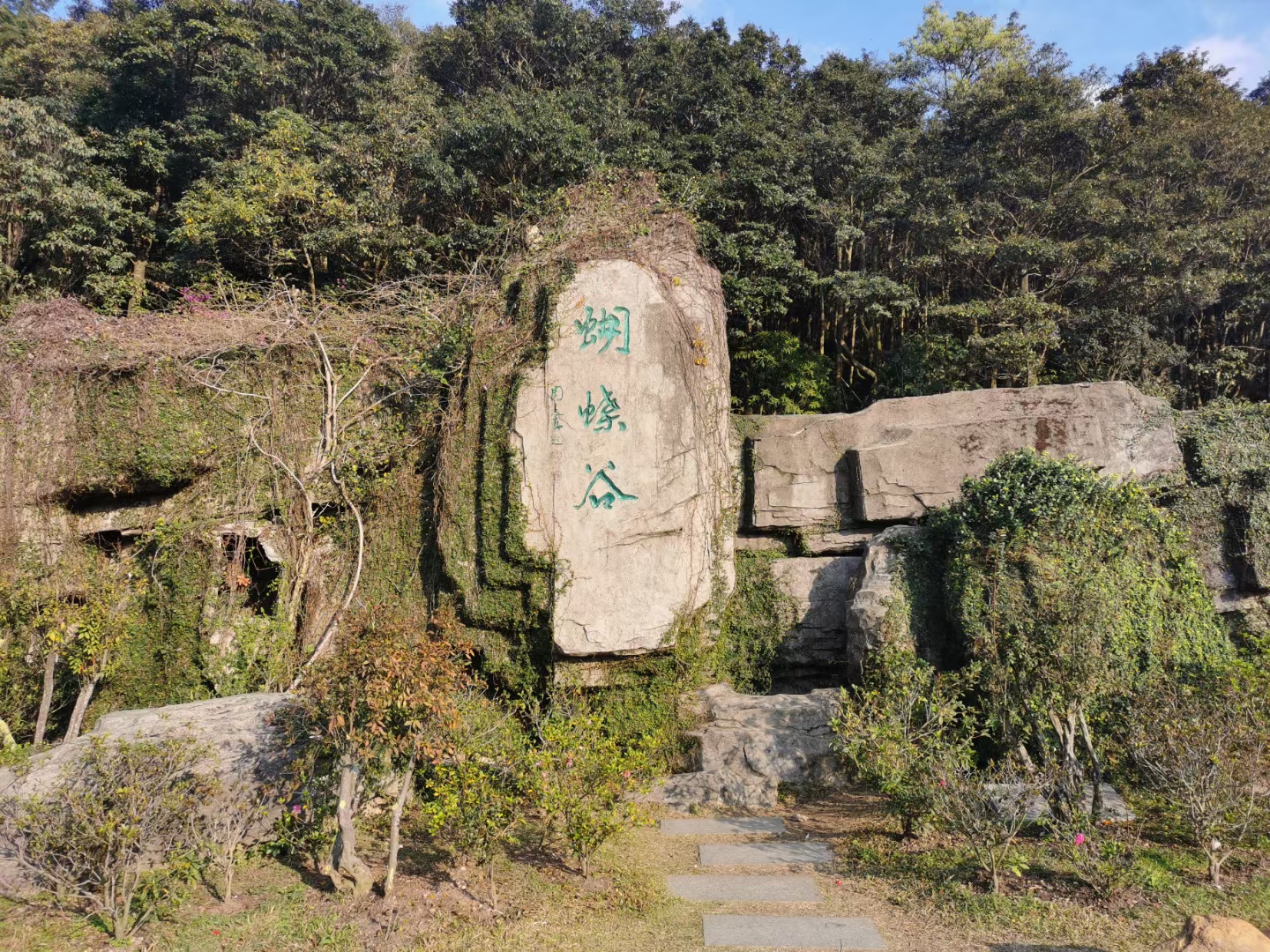 梧桐山 景点