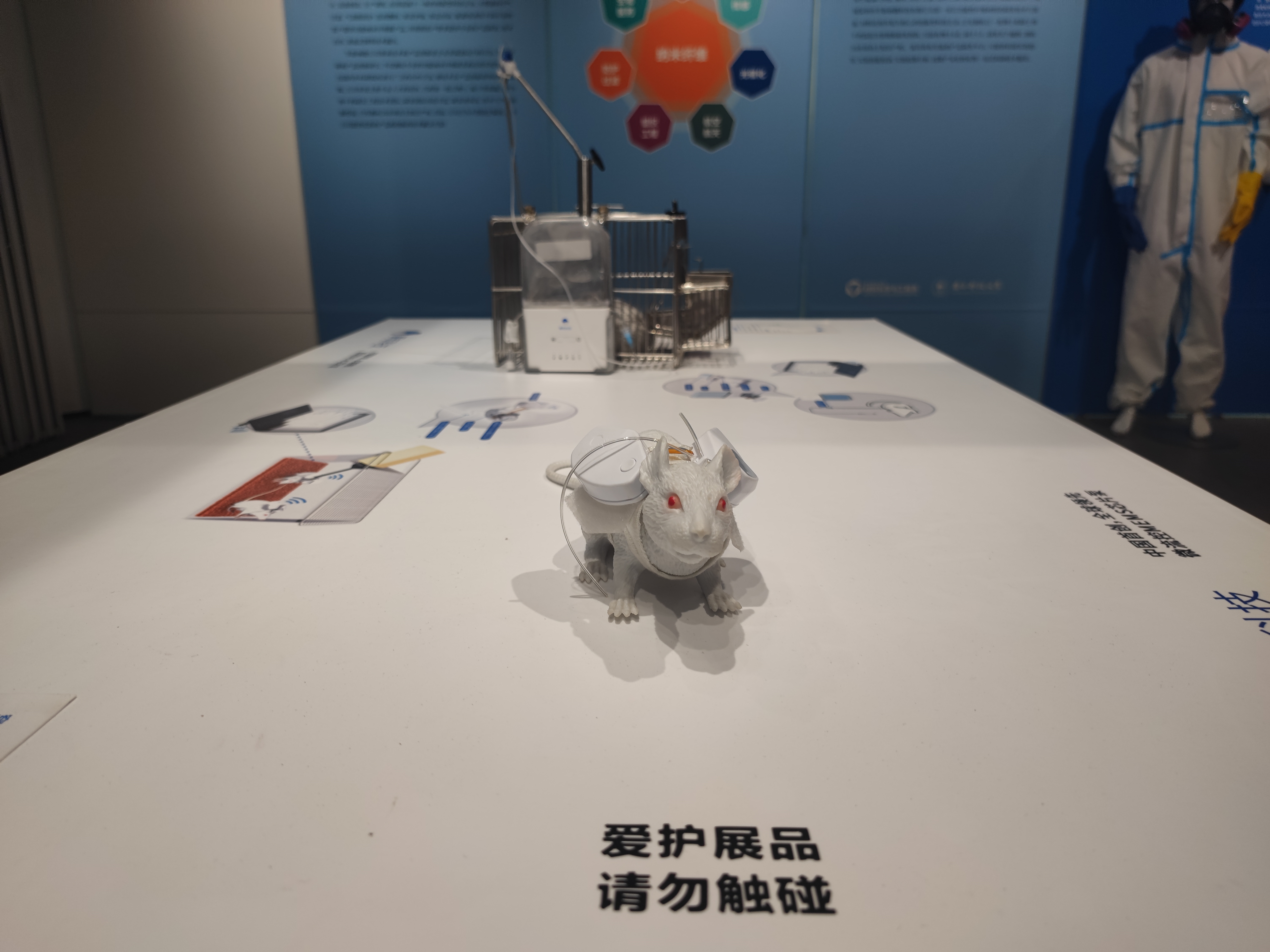 南科大 材料展